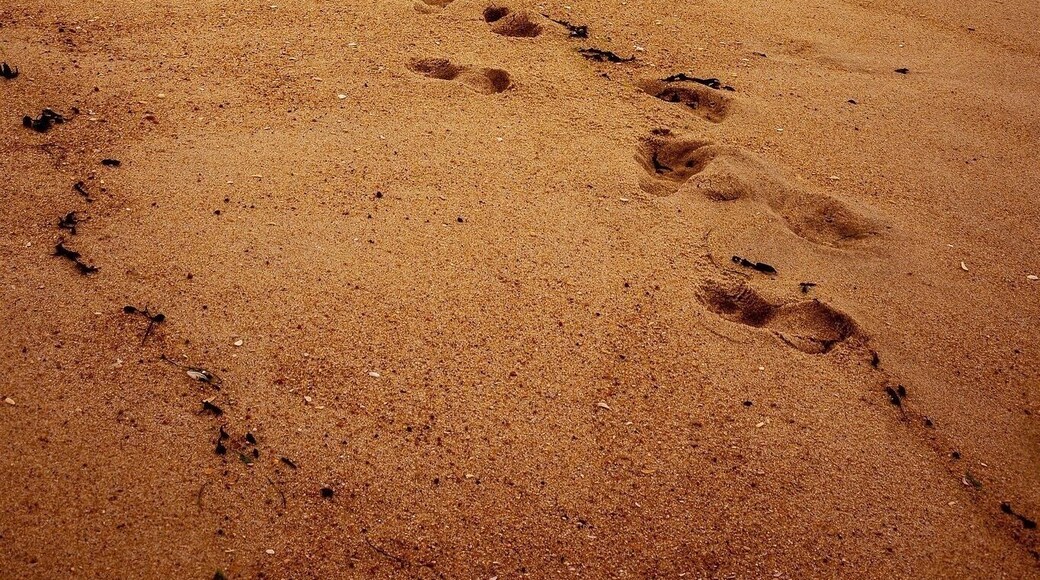 Beaches so long you'll burn your feet!