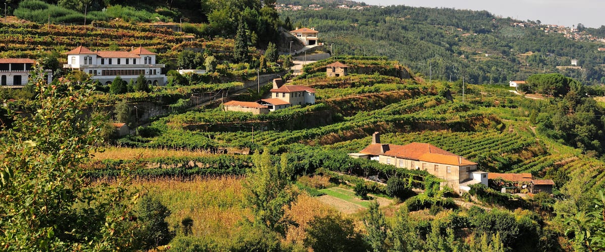 Terraced vineyards, white buildings, and a hilly landscape.