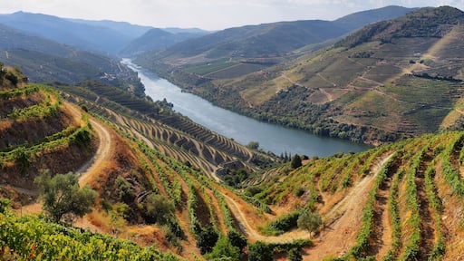 Scenic view of Alto Douro Vinhateiro, Portugal