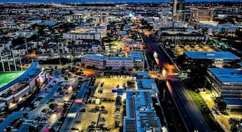 เดอะโดเมน