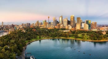 D RBG Park CBD Op Rise Pan