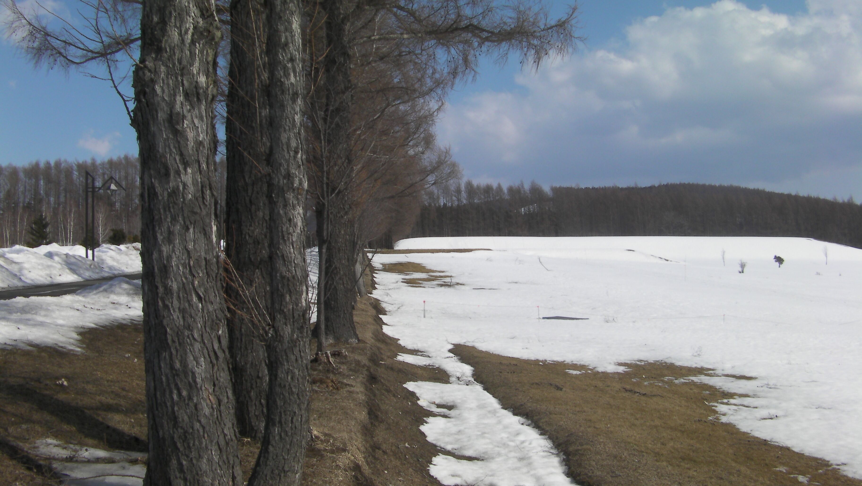 Misono, Kitami, Hokkaido Prefecture 099-0879, Japan
