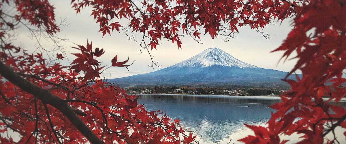 富士山の赤い葉
Late October to early November is the peak of red leaves by Mt. Fuji. Keep in mind when you are planning your trip to Mt. Fujin in Autumn!
#Red
#LifeAtExpedia
#mtfuji
#redleaves
#kawaguchiko
#Japan