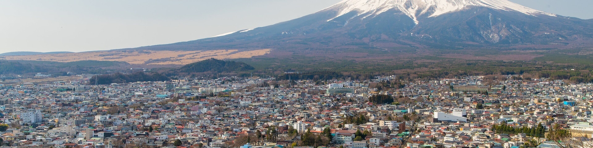 A cityscape with a prominent snow-capped mountain in the background.