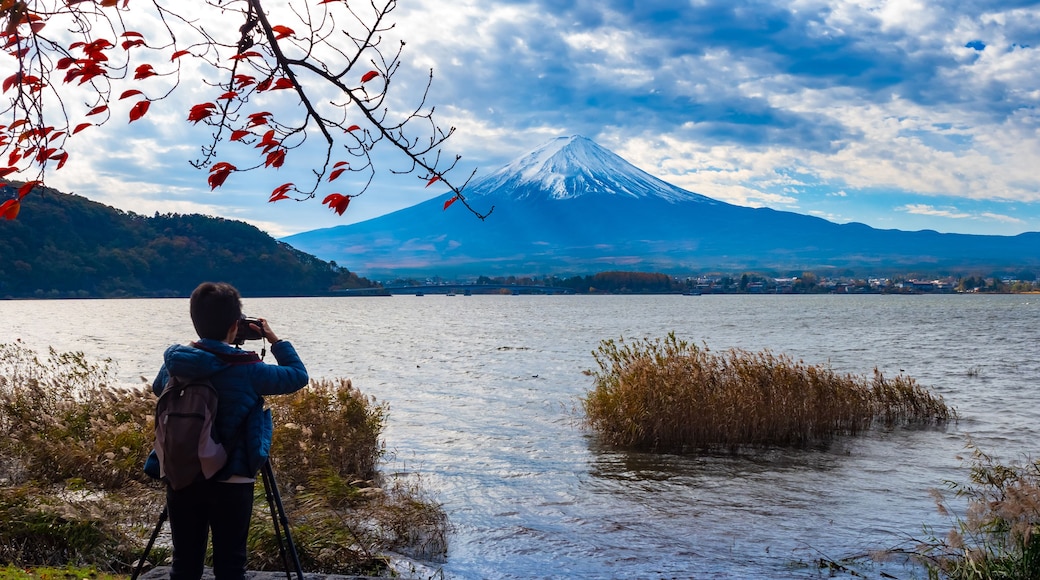 Une personne prend une photo d'une montagne, avec un lac au premier plan.
