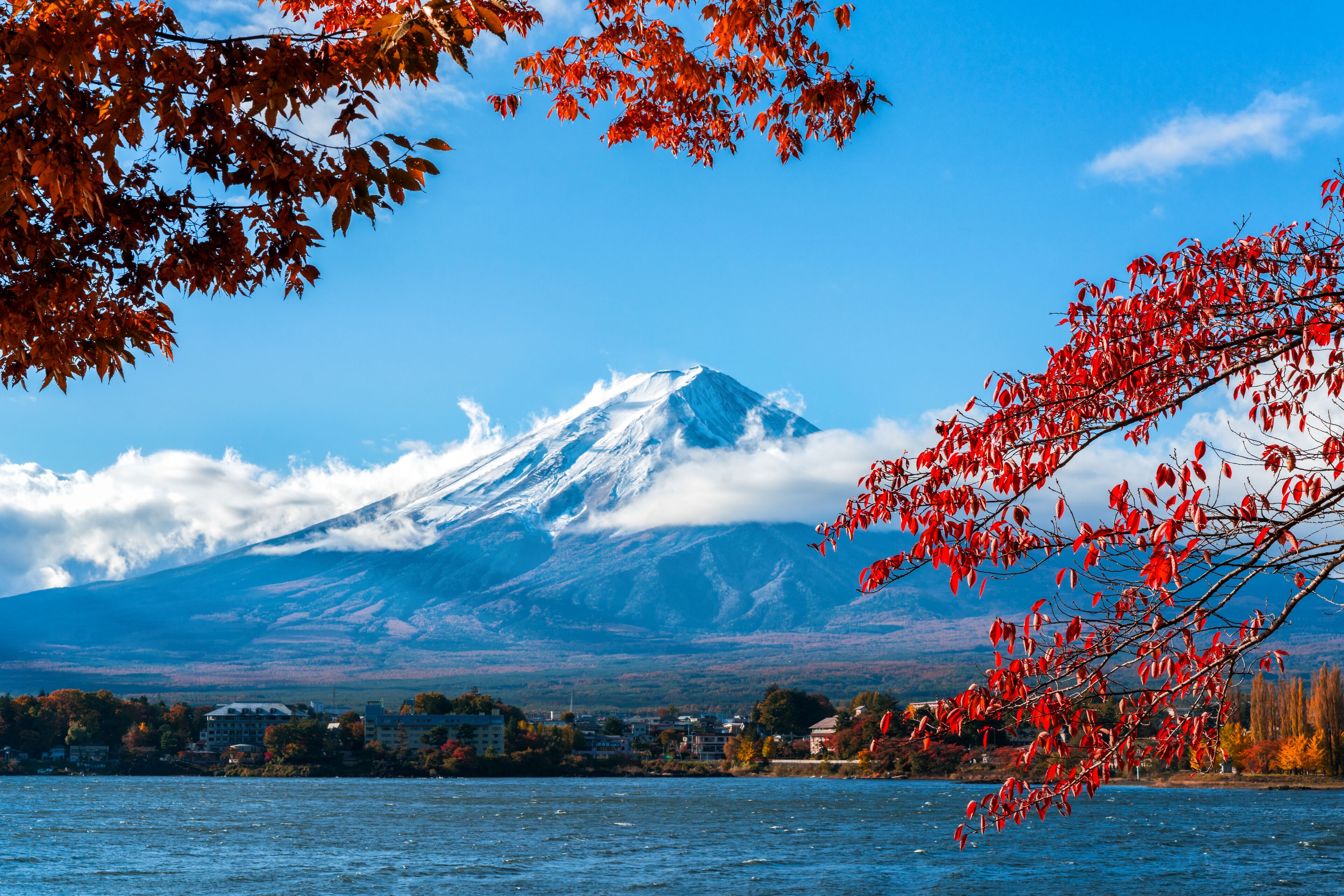 Colorful Autumn in Mount Fuji, Japan - Lake Kawaguchiko is one of the best places in Japan to enjoy Mount Fuji scenery of maple leaves changing color giving image of those leaves framing Mount Fuji.;