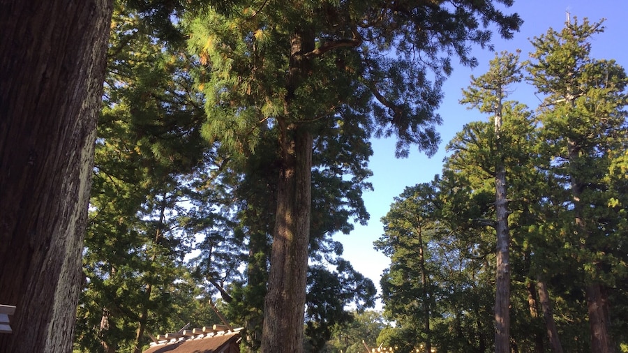 Ise Shrine, the heartland of Japanese Shinto
