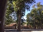 Ise Shrine, the heartland of Japanese Shinto