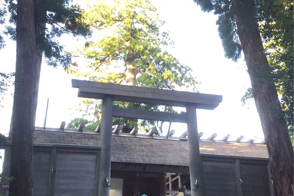 A stone staircase leading up to a traditional Japanese torii gate.