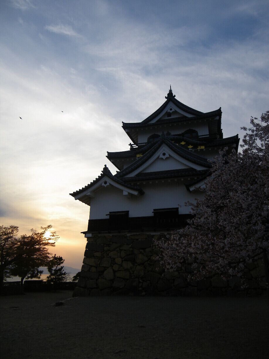 This lovely castle is the perfect place to see blooming cherry blossoms and watch the sunset over Lake Biwa #GoldenHour