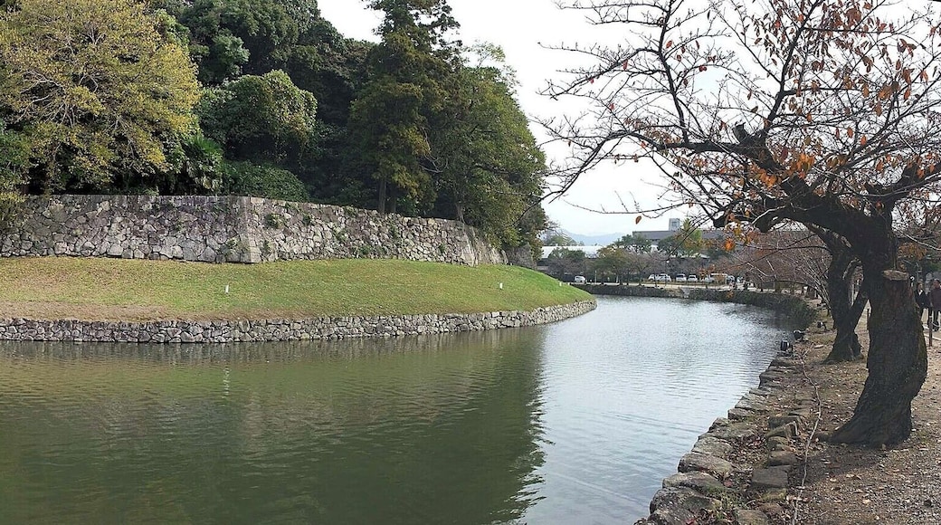 Hikone catle , 彦根城