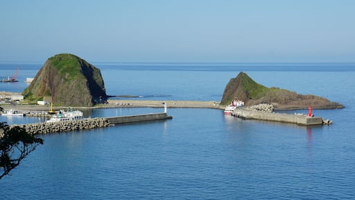 This is a complete original image ( no retouch, and no re-compression ).