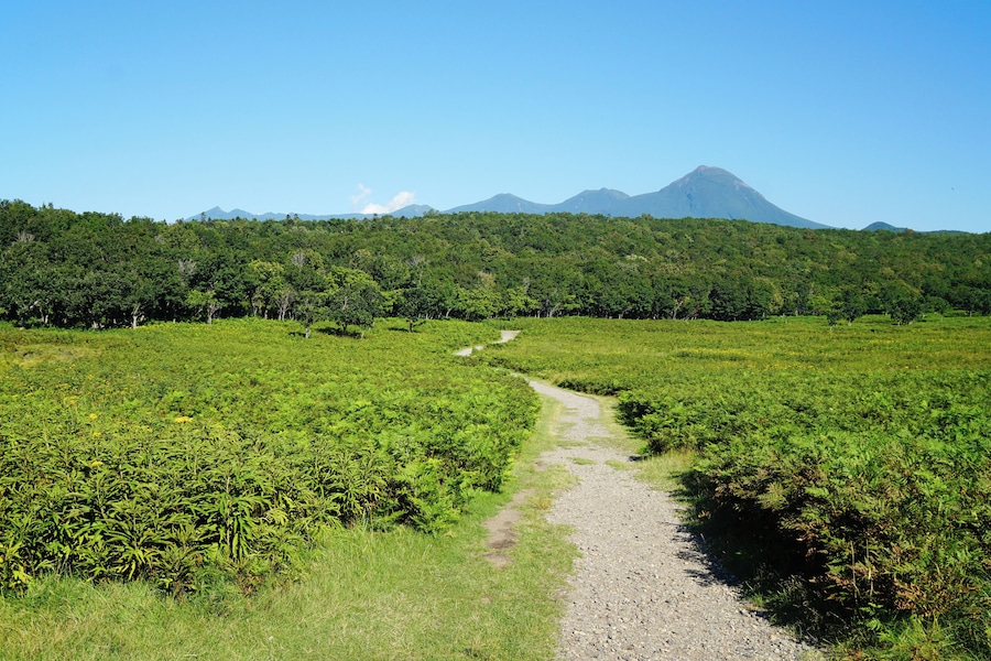 At "Track Near Furepe Falls" in Shari, Hokkaido prefecture, Japan. Furepe Falls and its circumference was registered as part of the UNESCO World Heritage Site "Shiretoko".