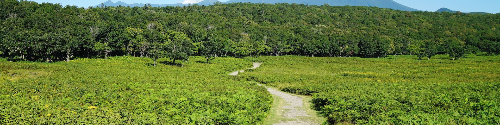 At "Track Near Furepe Falls" in Shari, Hokkaido prefecture, Japan. Furepe Falls and its circumference was registered as part of the UNESCO World Heritage Site "Shiretoko".
