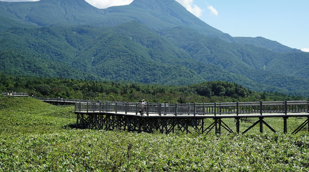 At Shiretoko Goko Lakes in Shari, Hokkaido prefecture, Japan.