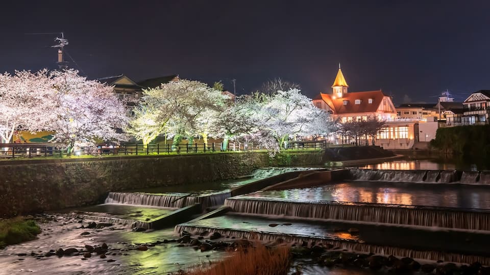 A night scene with illuminated cherry blossoms, a traditional building with a tower, and a cascading water feature.