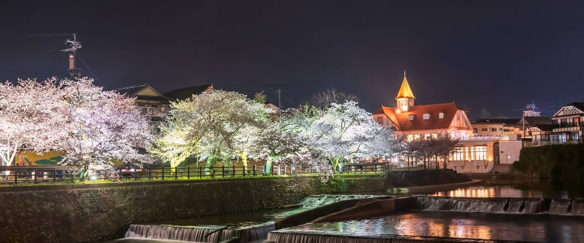 A night scene with illuminated cherry blossoms, a traditional building with a tower, and a cascading water feature.