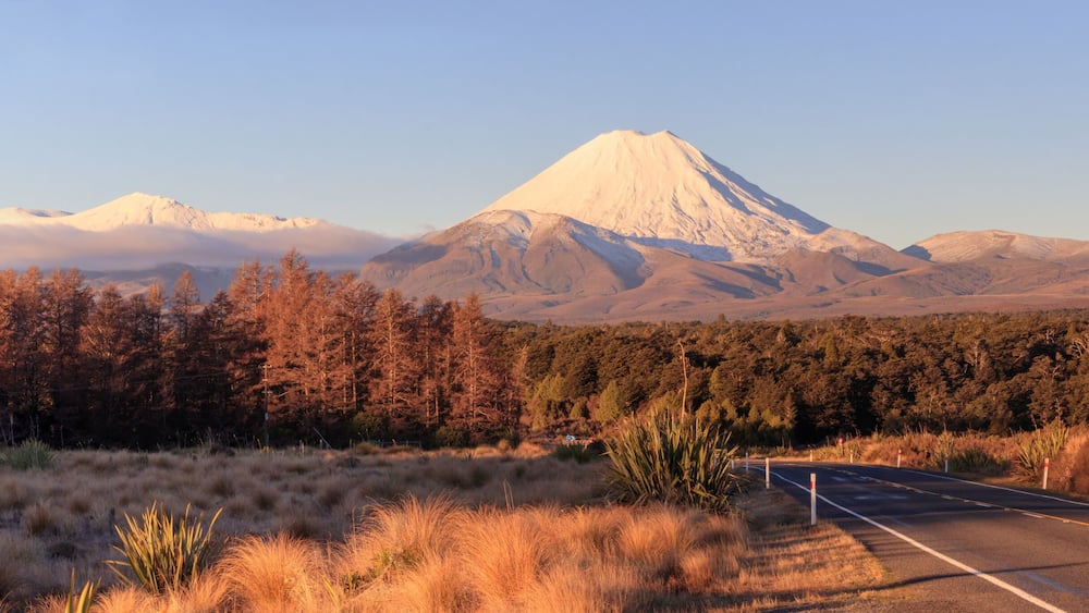 A road leading to a snow-capped mountain with a forested area in the foreground.