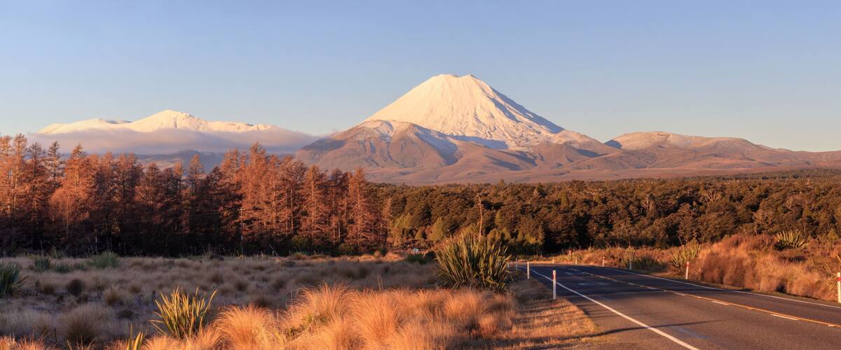 A road leading to a snow-capped mountain with a forested area in the foreground.