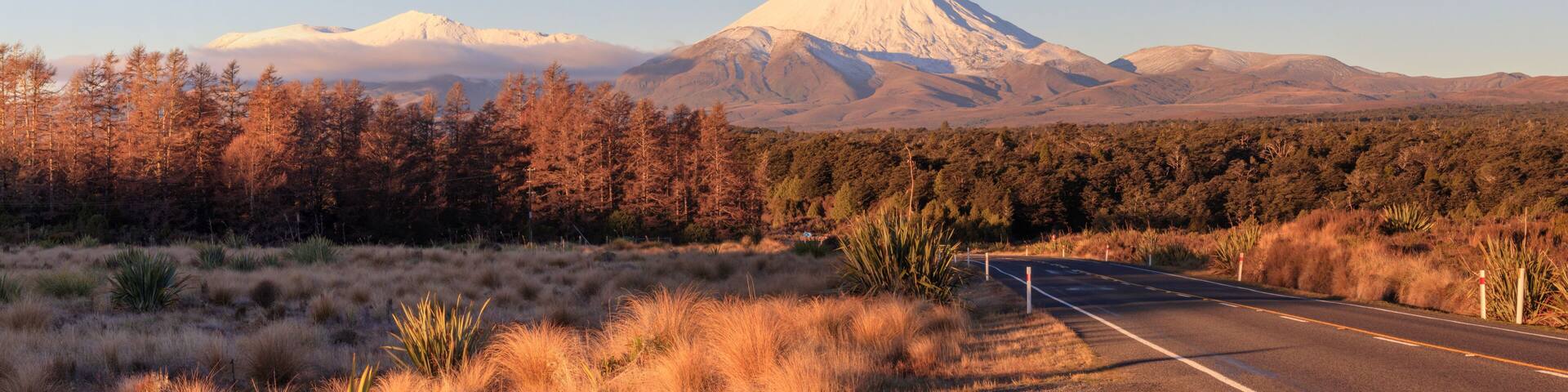 Road at Tongariro National Park and volcano Ngauruhoe, New Zealand