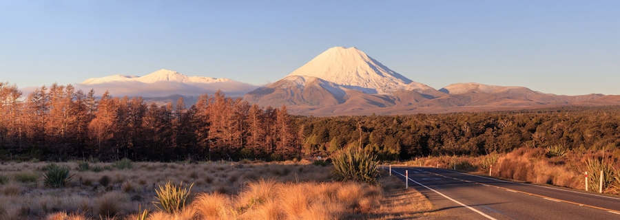 Road at Tongariro National Park and volcano Ngauruhoe, New Zealand