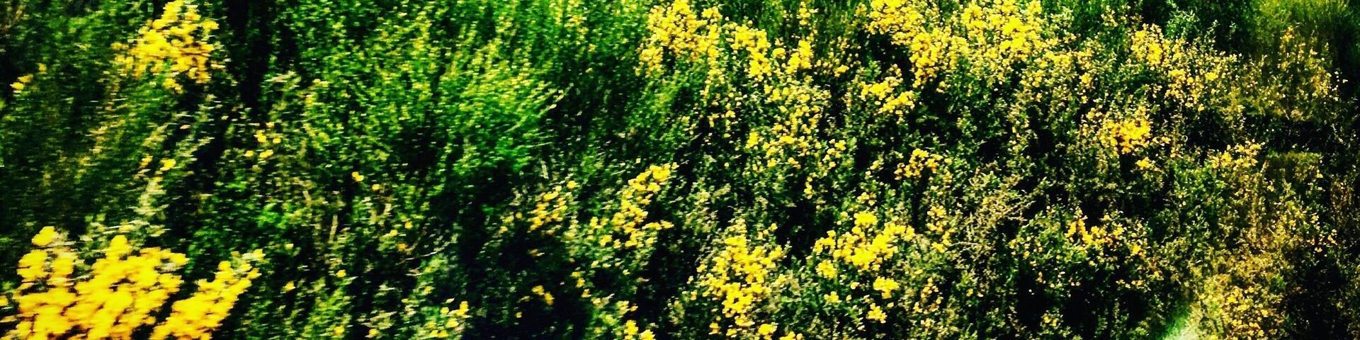 I got lost on the lost road in NZ and I travelled from Auckland to Wellington on the train.. both were exhilarating and unique experiences which I will repeat one day!