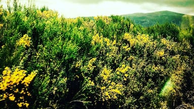 I got lost on the lost road in NZ and I travelled from Auckland to Wellington on the train.. both were exhilarating and unique experiences which I will repeat one day!