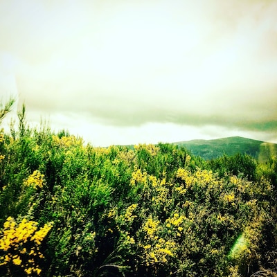 I got lost on the lost road in NZ and I travelled from Auckland to Wellington on the train.. both were exhilarating and unique experiences which I will repeat one day!