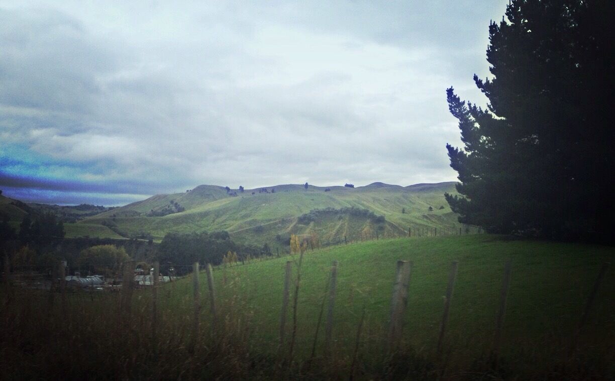 New Zealand's North Island has plenty of green hills in the landscape 

#Roadtrip #NZ