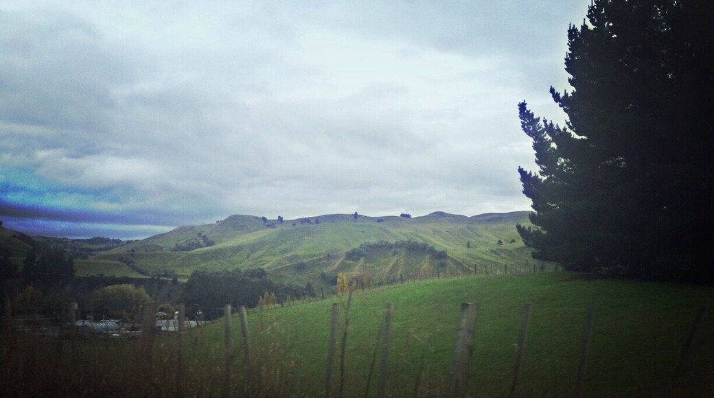 New Zealand's North Island has plenty of green hills in the landscape
#Roadtrip #NZ
