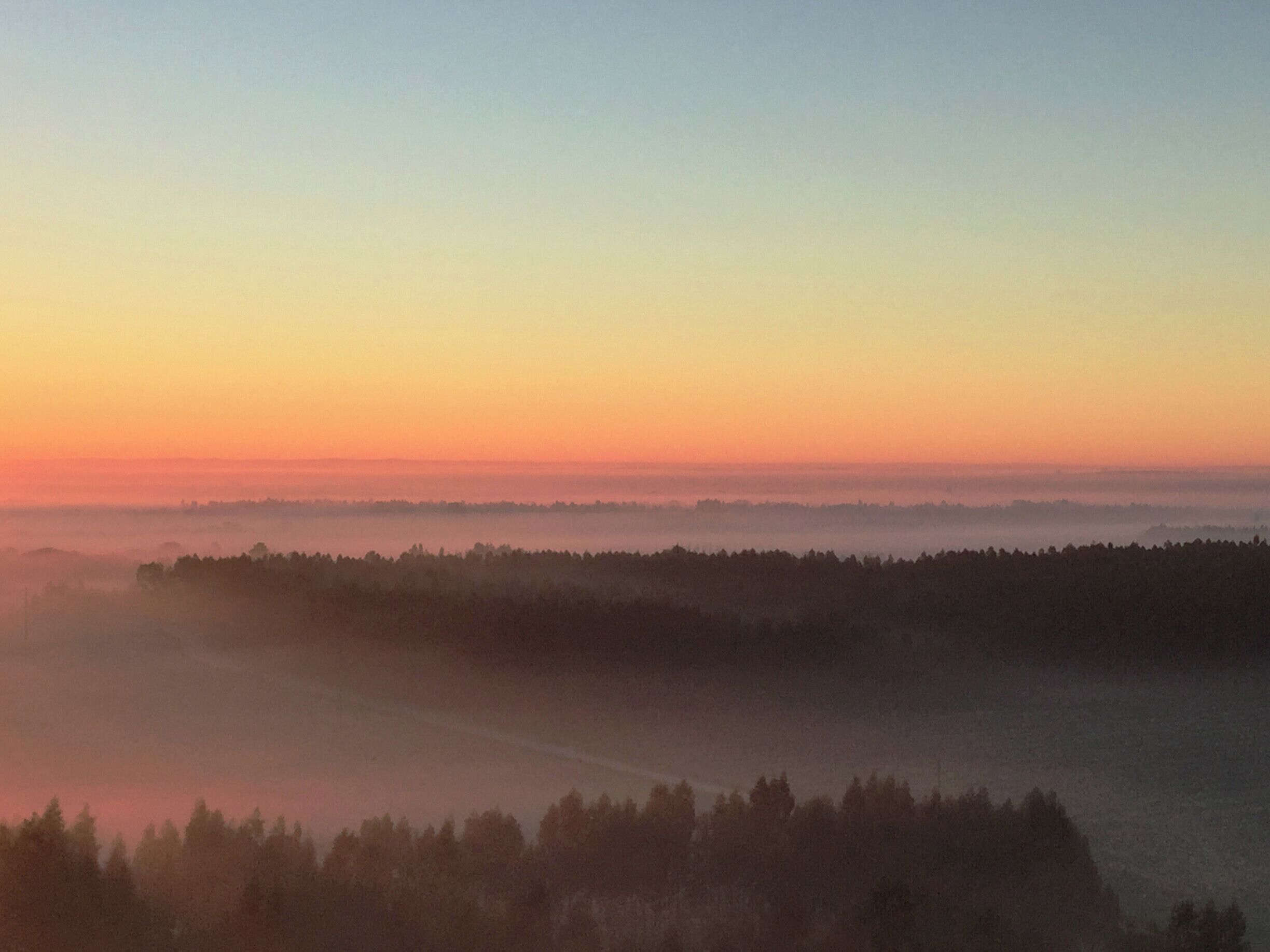A sunrise over a forested landscape with a misty horizon.