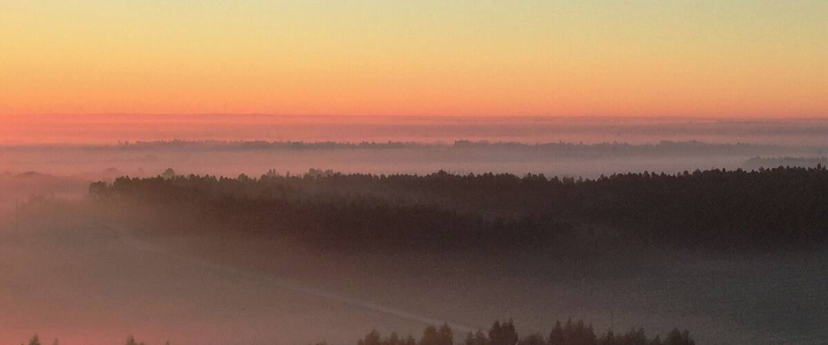 A sunrise over a forested landscape with a misty horizon.