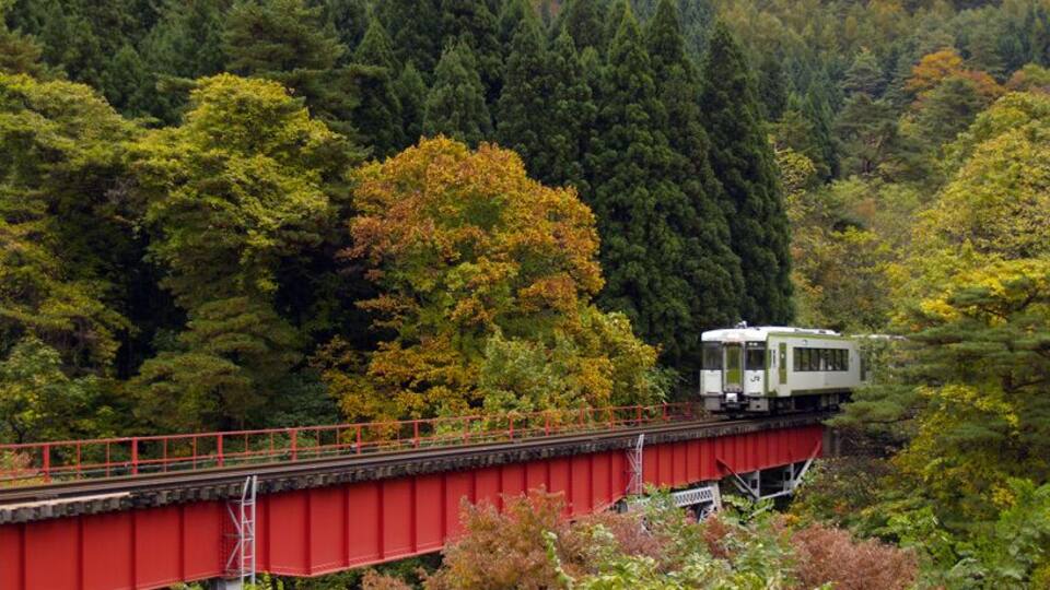 A train on a red bridge in a forested area.