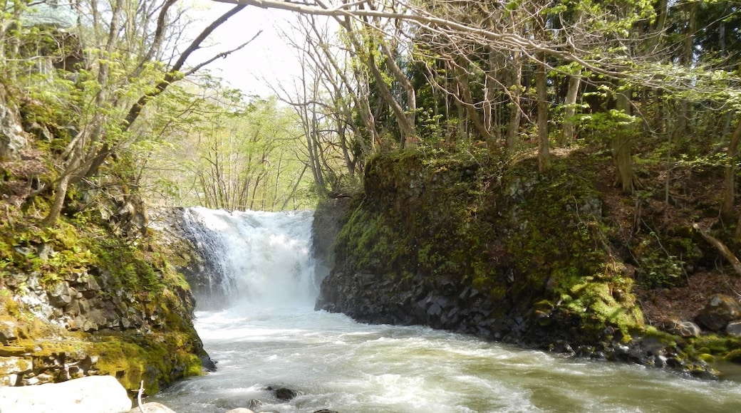 Towadaoyu, Kazuno, Akita Prefecture 018-5421, Japan