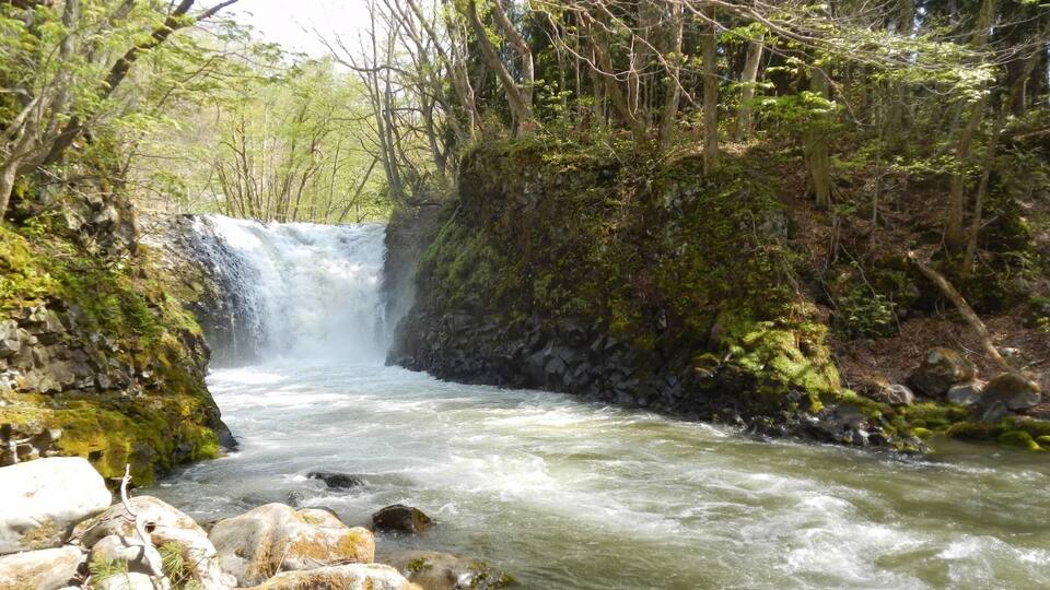 A waterfall in a forested area with rocky terrain and flowing water.