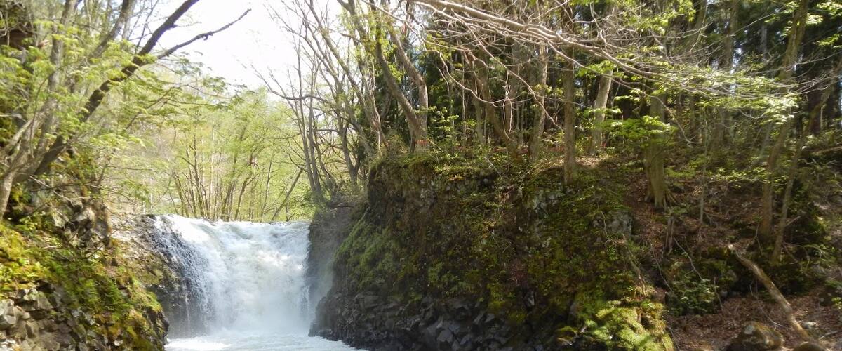 A waterfall in a forested area with rocky terrain and flowing water.