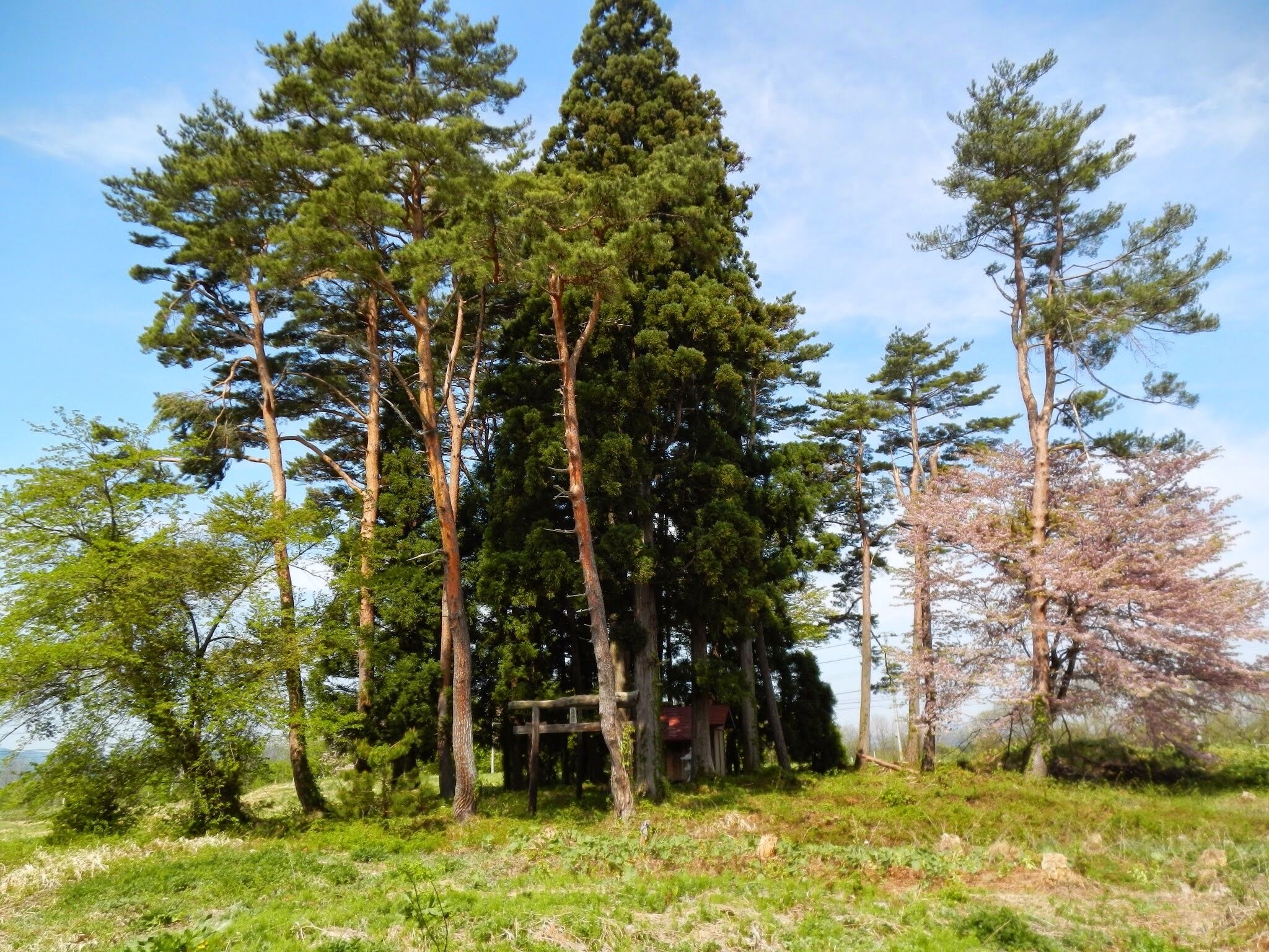 Nonakadō Towadaōyu, Kazuno-shi, Akita-ken 018-5421, Japan