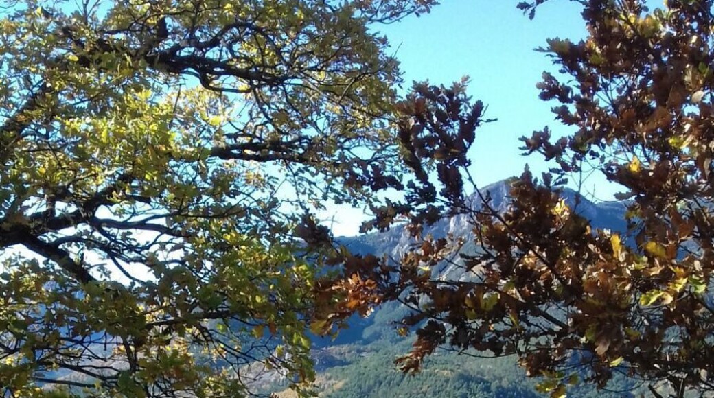 Autumn colours in Provence :)