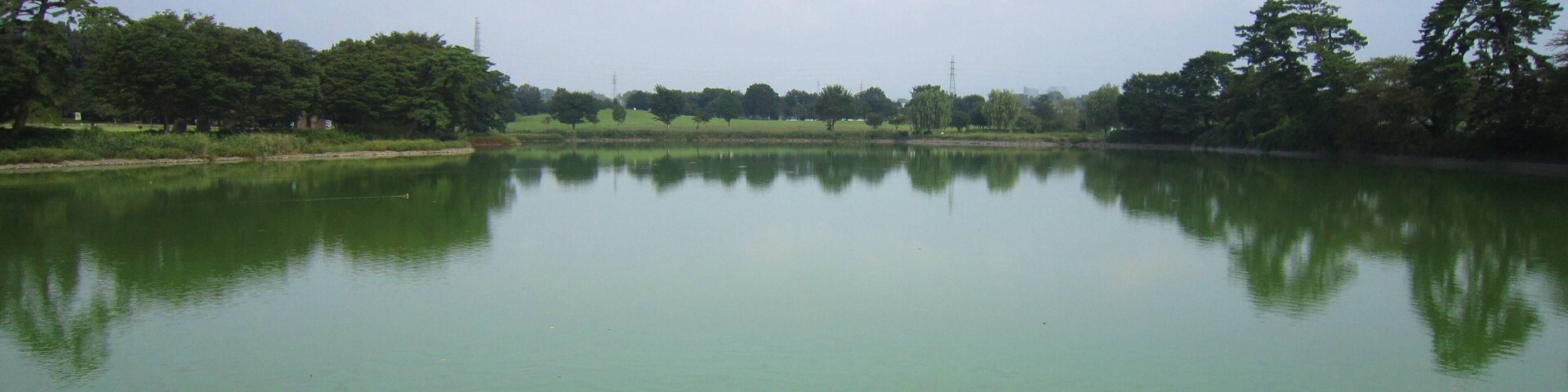 Um lago tranquilo com águas esverdeadas, cercado por árvores e um céu limpo.