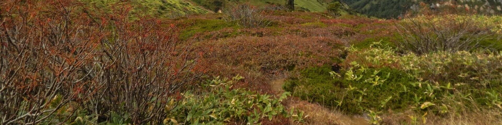 Iriyama, Nakanojo, Agatsuma District, Gunma Prefecture 377-1701, Japan