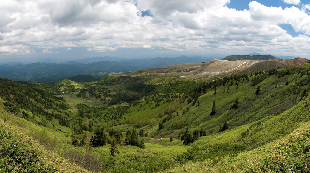 Iriyama, Nakanojo, Agatsuma District, Gunma Prefecture 377-1701, Japan
