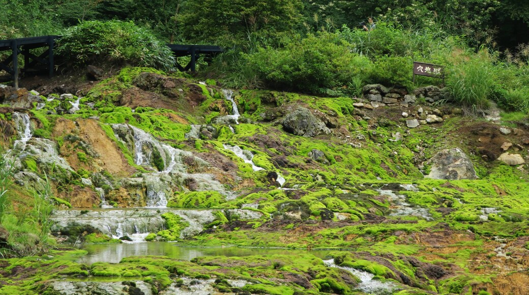 Chatsubomigoke Park.