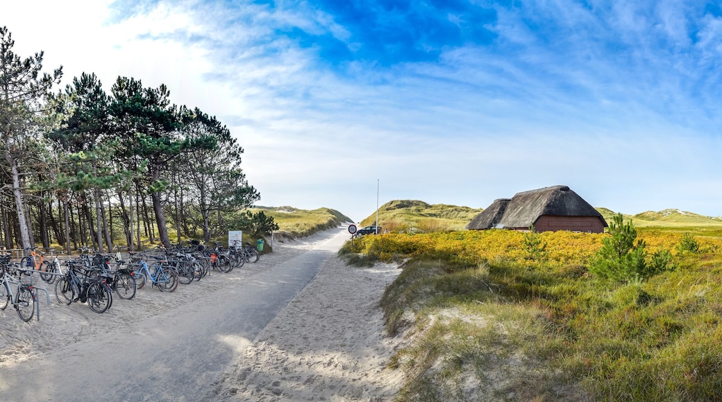Amrum