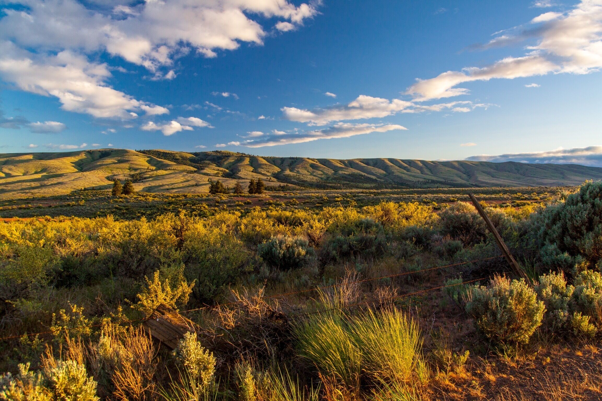 Just 20 minutes outside of Ellensburg, down "Old Durr Road" you enter the Wenas Wildlife Area. 