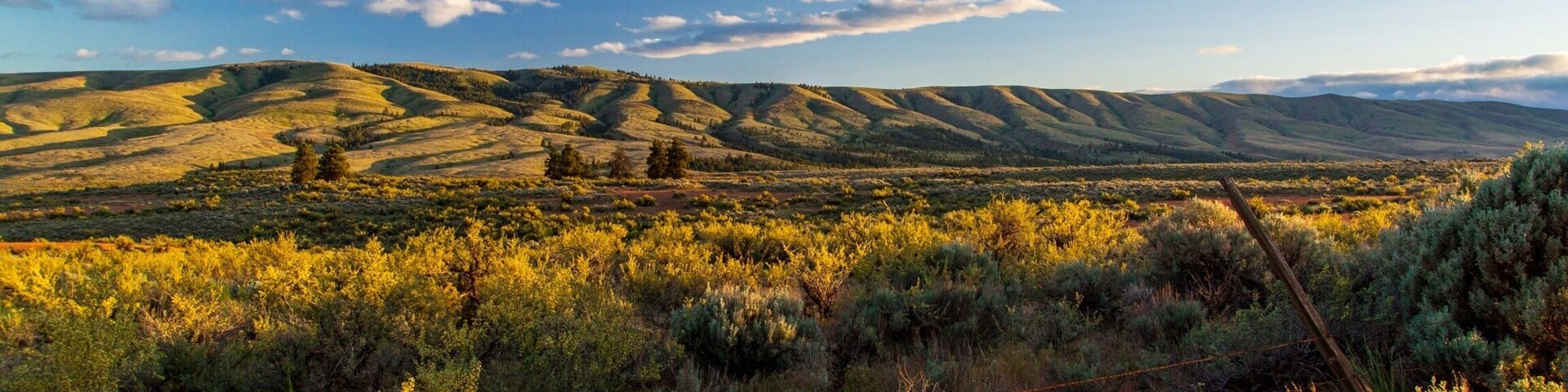 Just 20 minutes outside of Ellensburg, down "Old Durr Road" you enter the Wenas Wildlife Area.