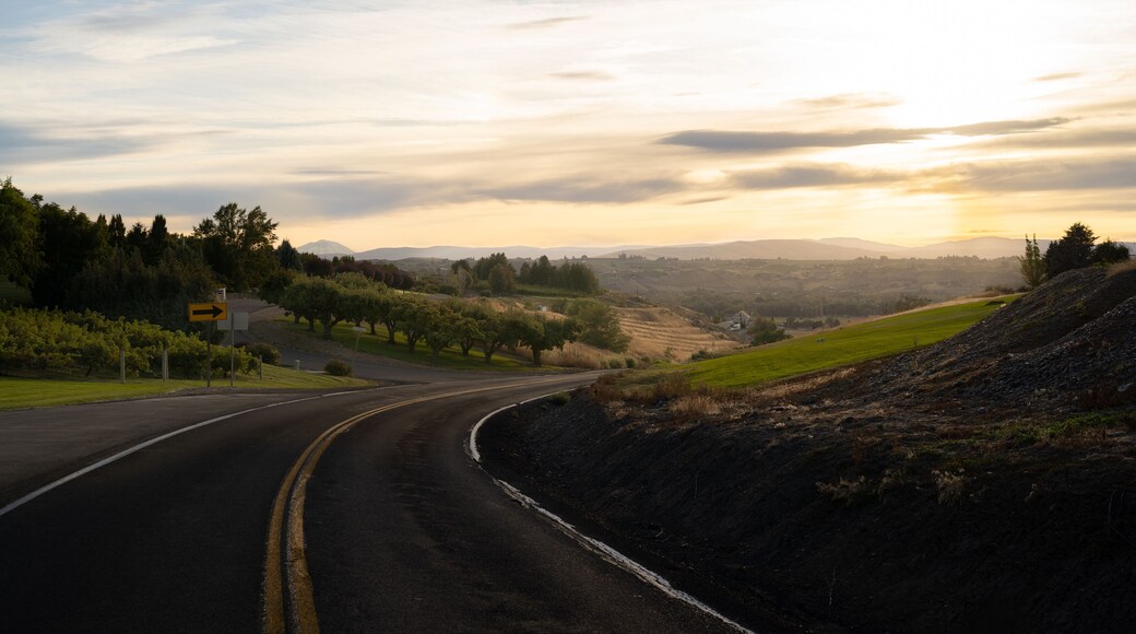 Road in Gleed, WA - Yakima