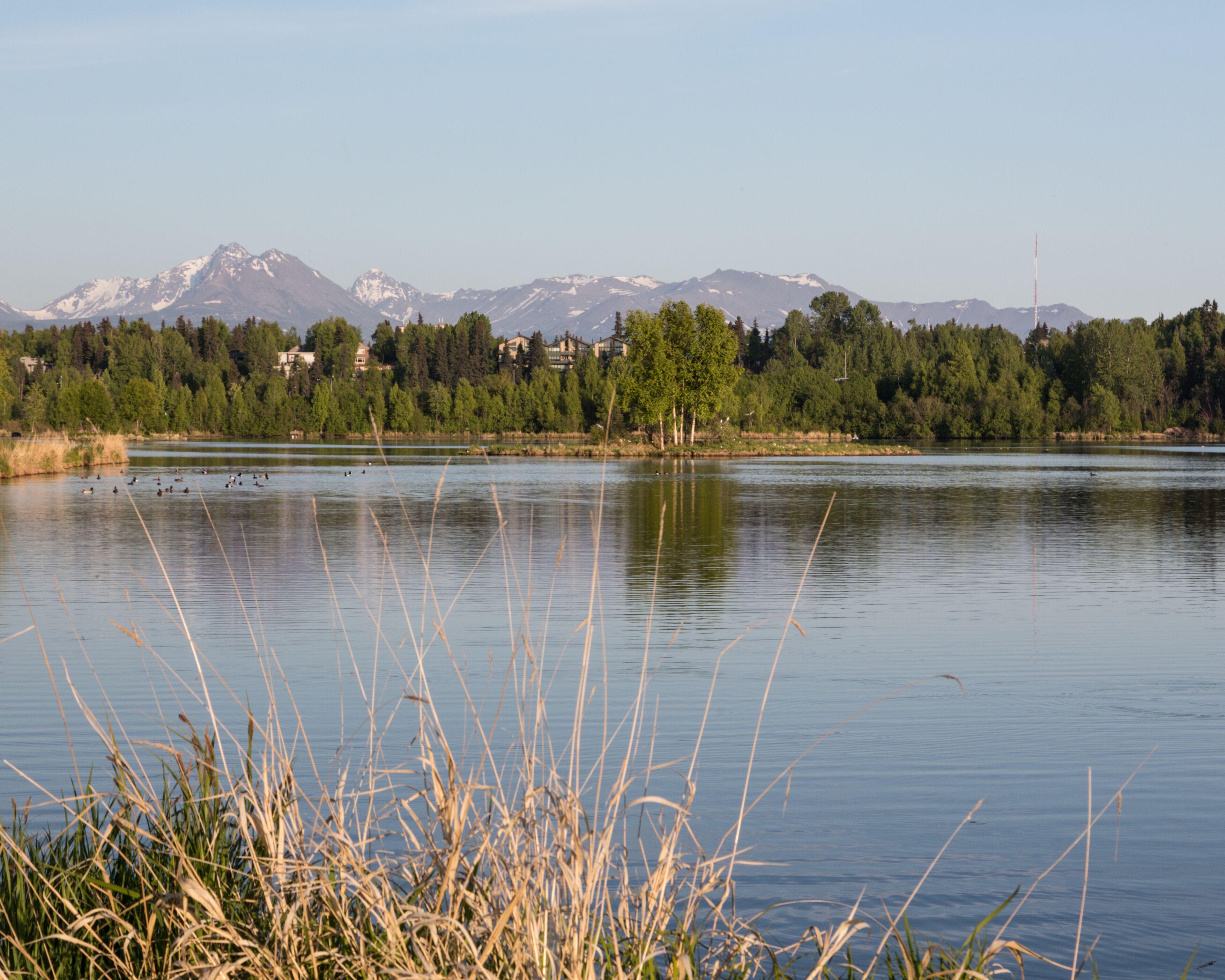 Westchester Lagoon