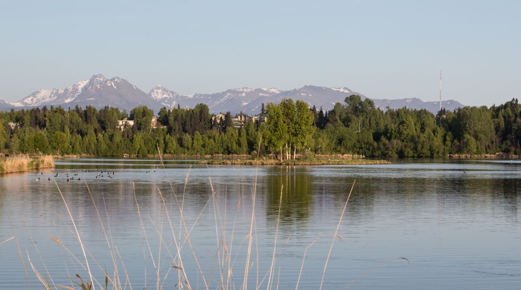 Midtown Anchorage