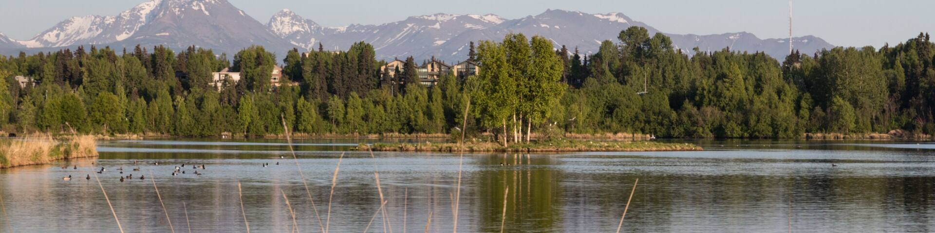 Westchester Lagoon