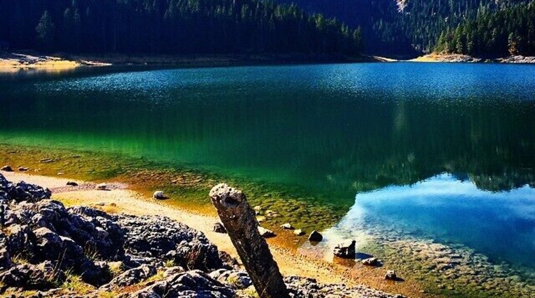 Crno Jezero or the Black Lake, is the another hidden gem of Montenegro. We didn't plan on coming here, in fact we didn't even know it was there. Our kind host recommended us to visit Crno Jezero before we made our way to Dubrovnik.